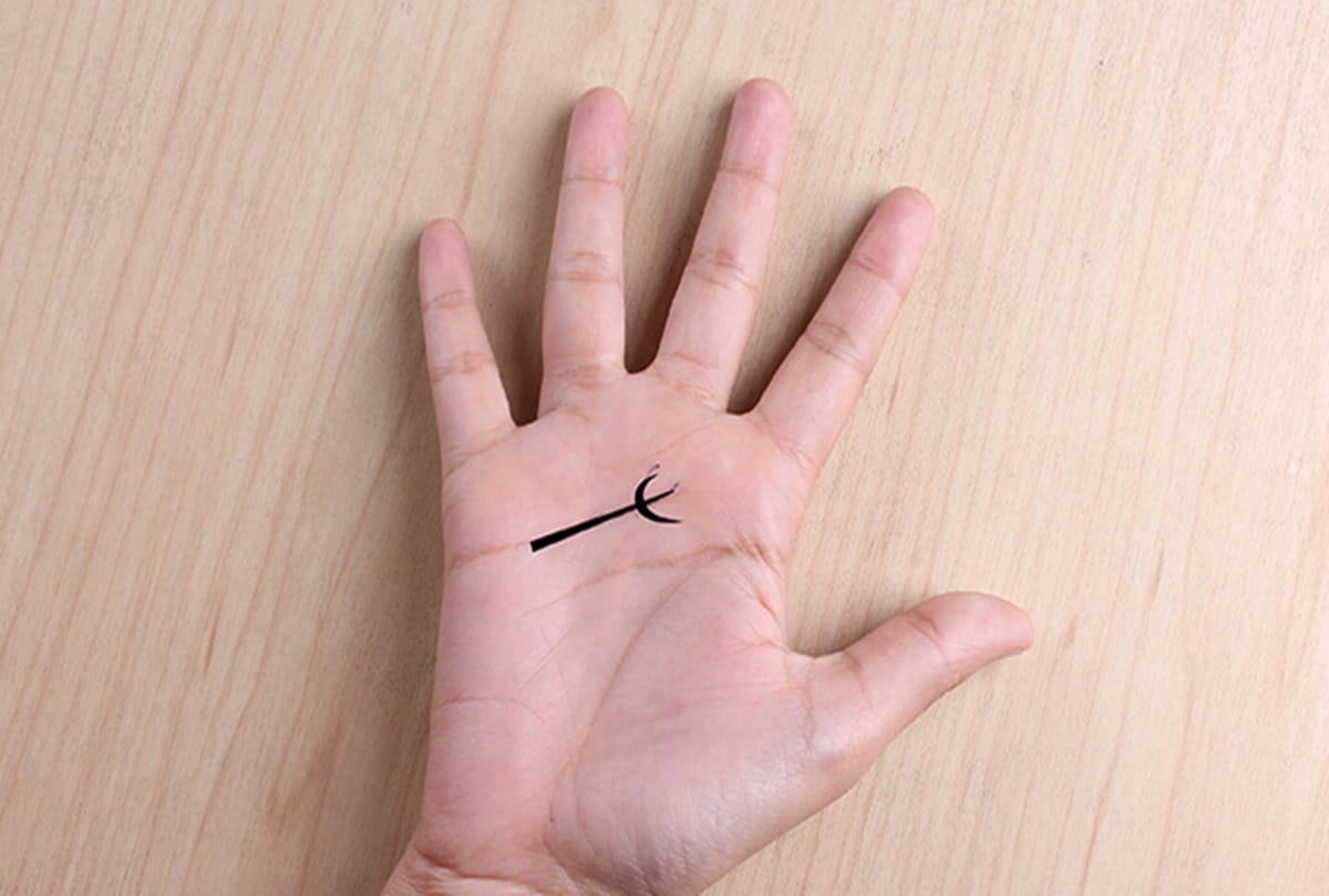hast rekha predictions how to read palm in palmistry astrology