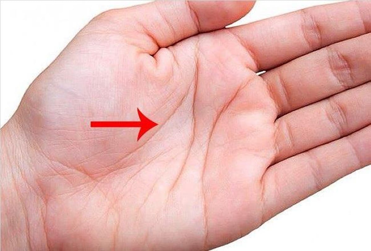 palmistry auspicious signs in hand