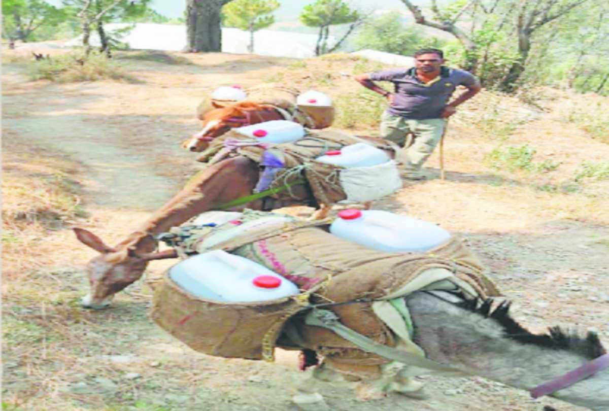 water crisis in bayana panchayat of chamba himachal 