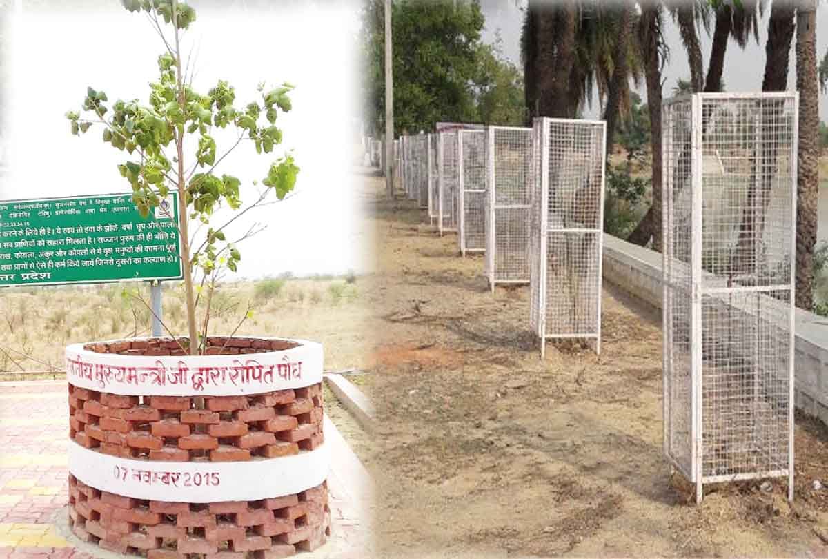 world environment day story