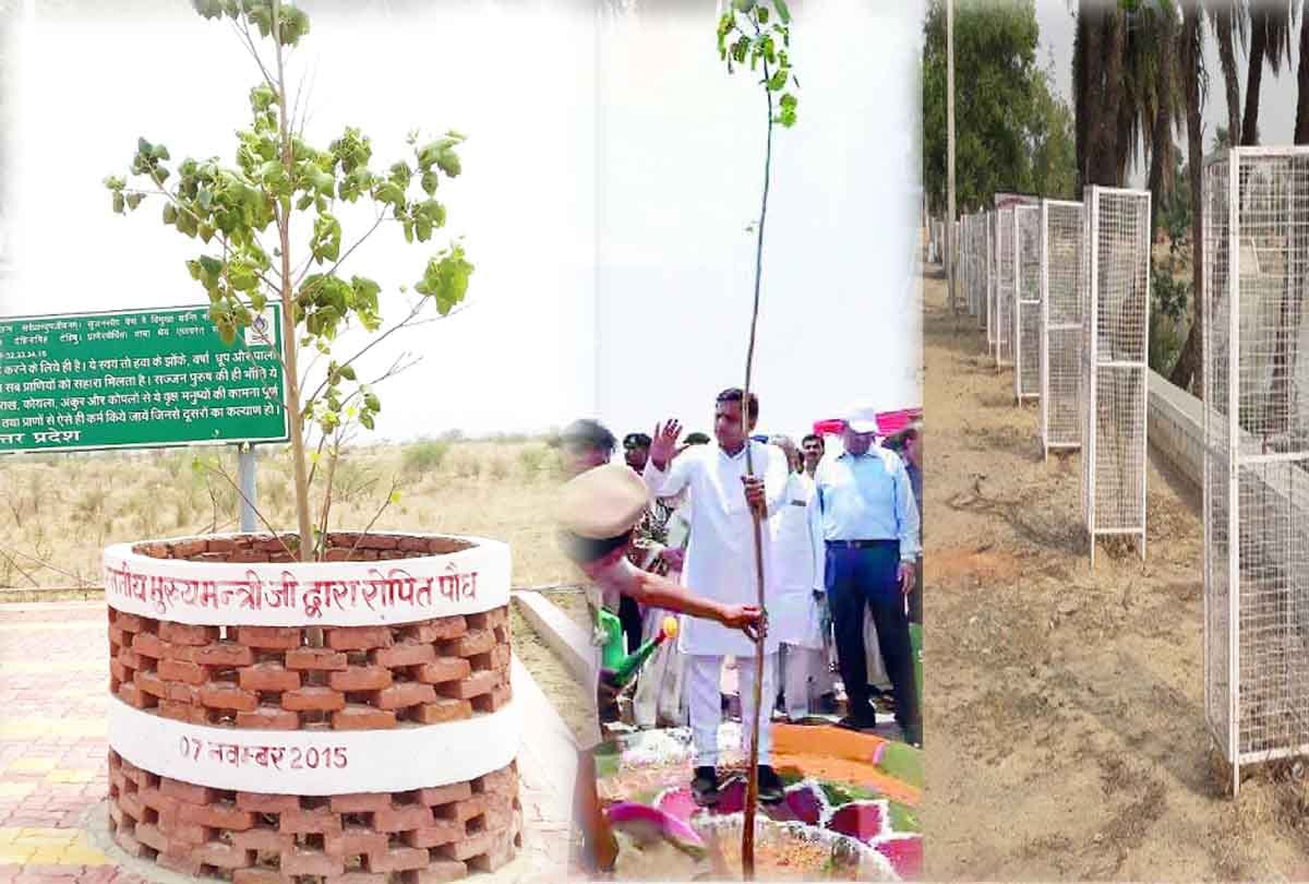 world environment day story