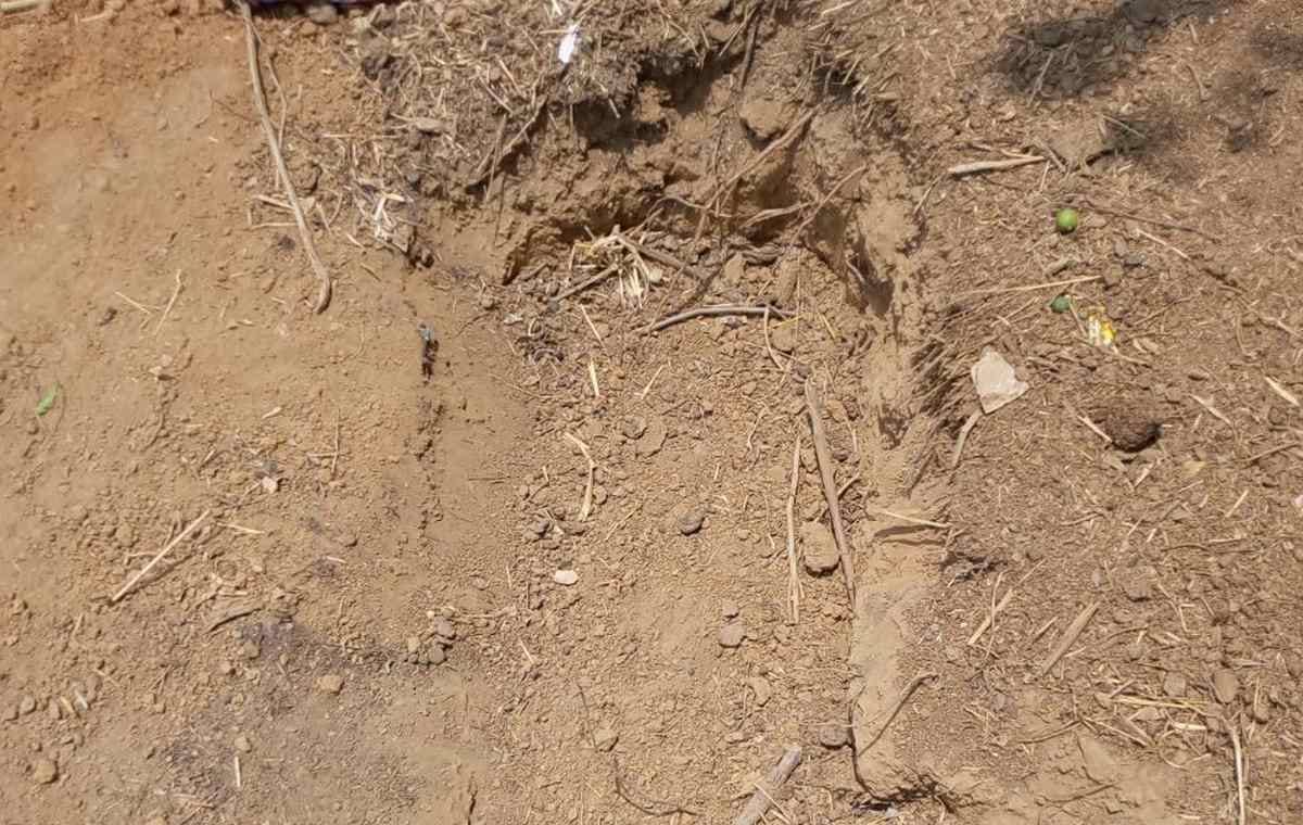 Woman burns and try to bury in superstition in sonbhadra
