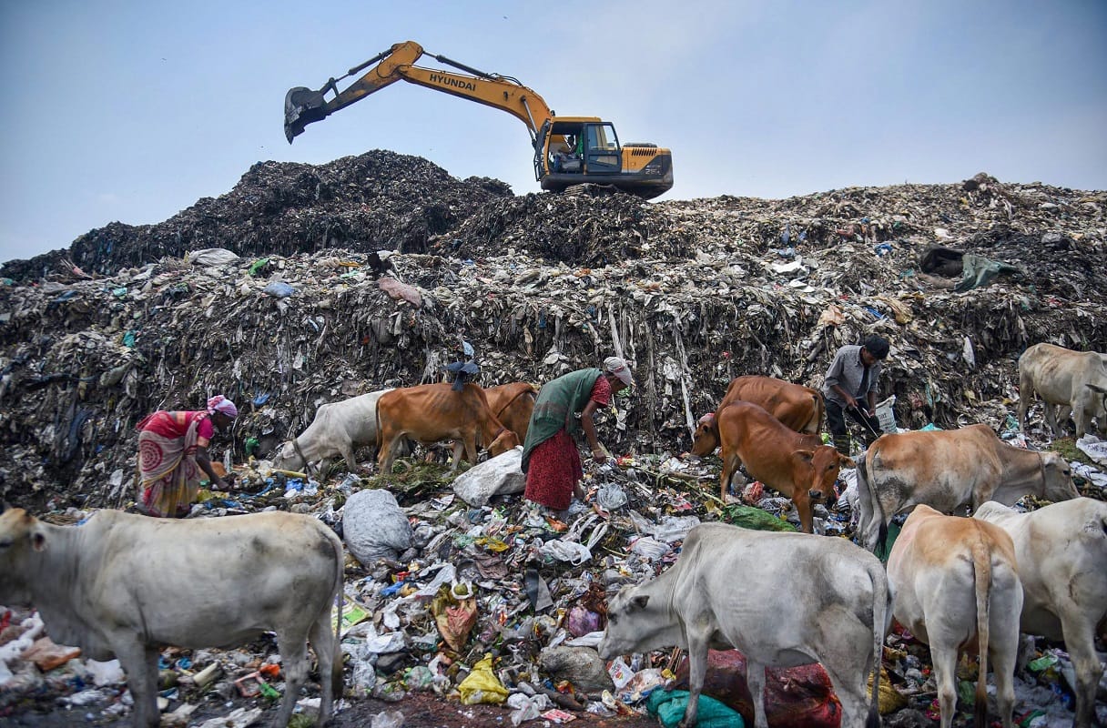 world environment day 2018 un theme innovations-beat-plastic-pollution-display