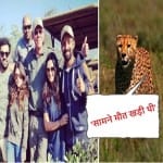 When Rohit Sharma felt like punching Jadeja after his foolish act in front of cheetah