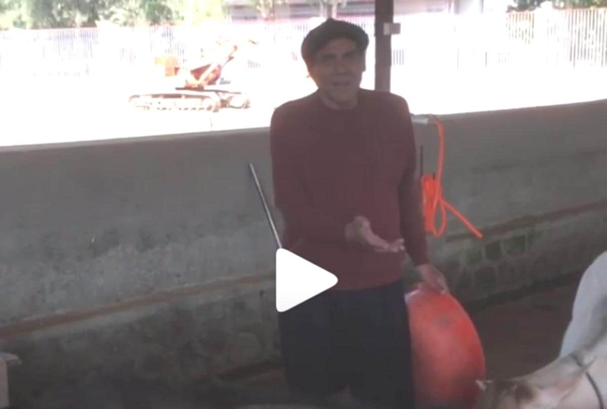 dharmendra busy in his farm house look at the video