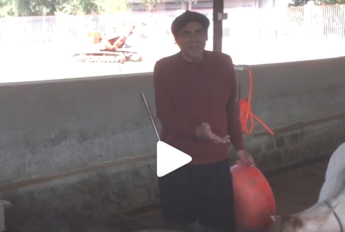dharmendra busy in his farm house look at the video