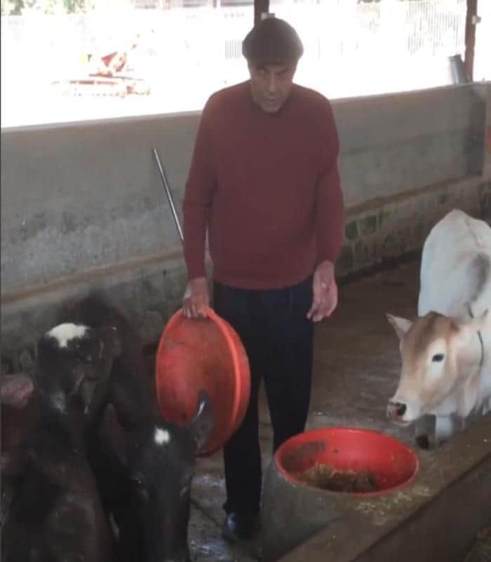 dharmendra busy in his farm house look at the video