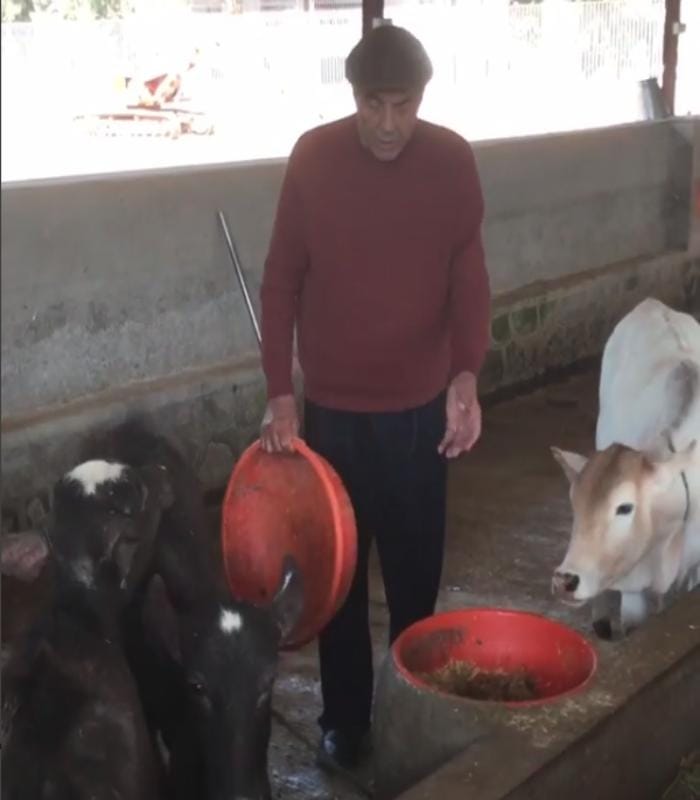 dharmendra busy in his farm house look at the video