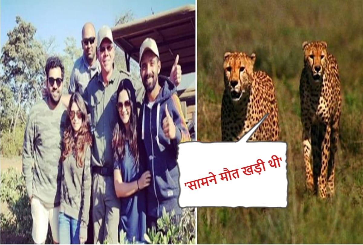 When Rohit Sharma felt like punching Jadeja after his foolish act in front of cheetah
