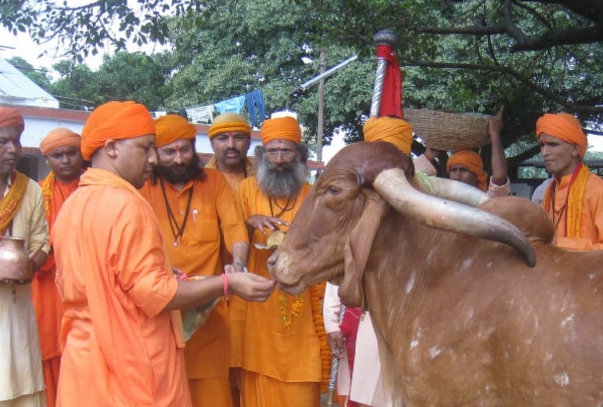CM Yogi cares about his cows and pets