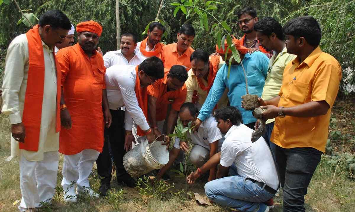 CM yogi adityanath birthday celebration in purvanchal