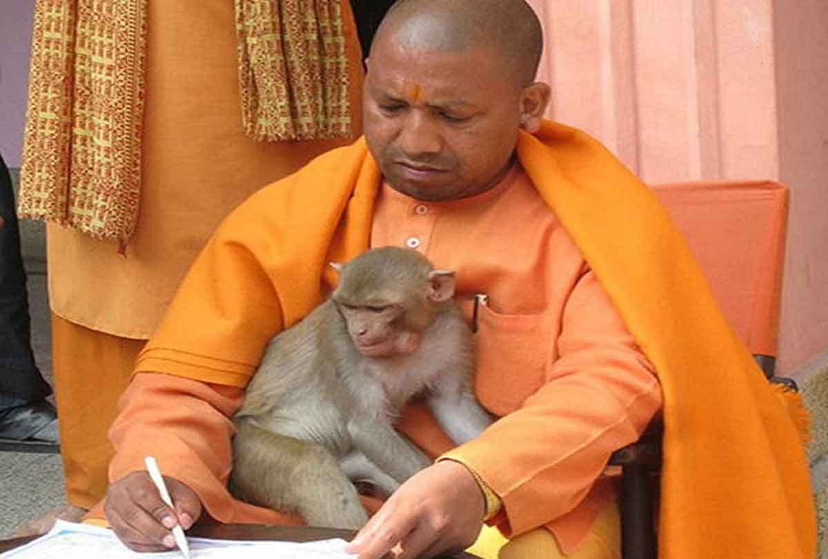 CM Yogi Adityanath Birthday Special story