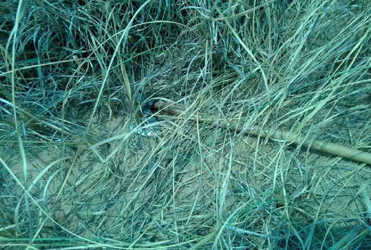 dead body of Husband and wife found in forest 