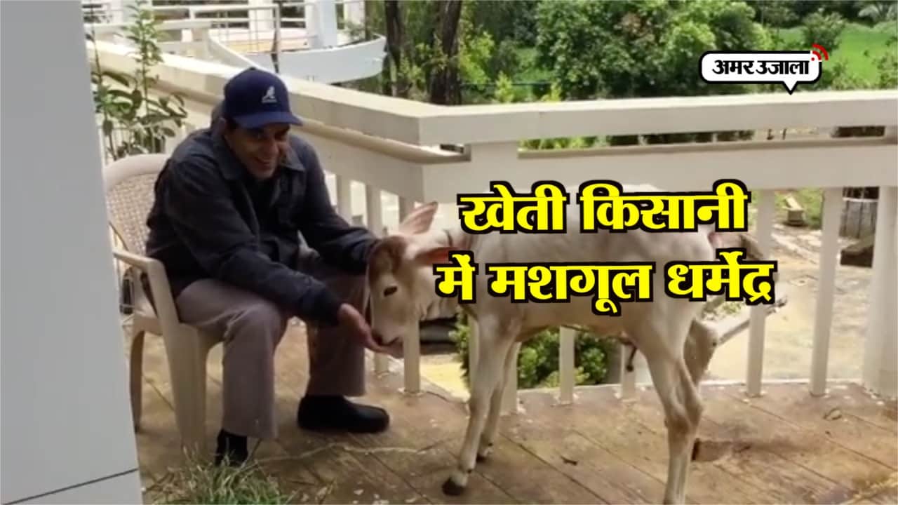 धर्मेंद्र 