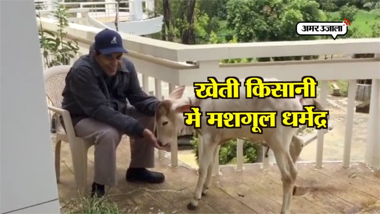 धर्मेंद्र 