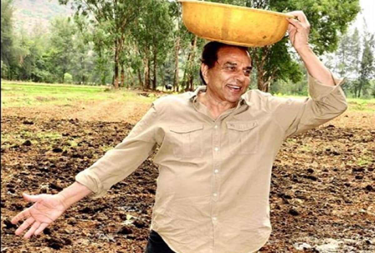 dharmendra doing farming of mangoes