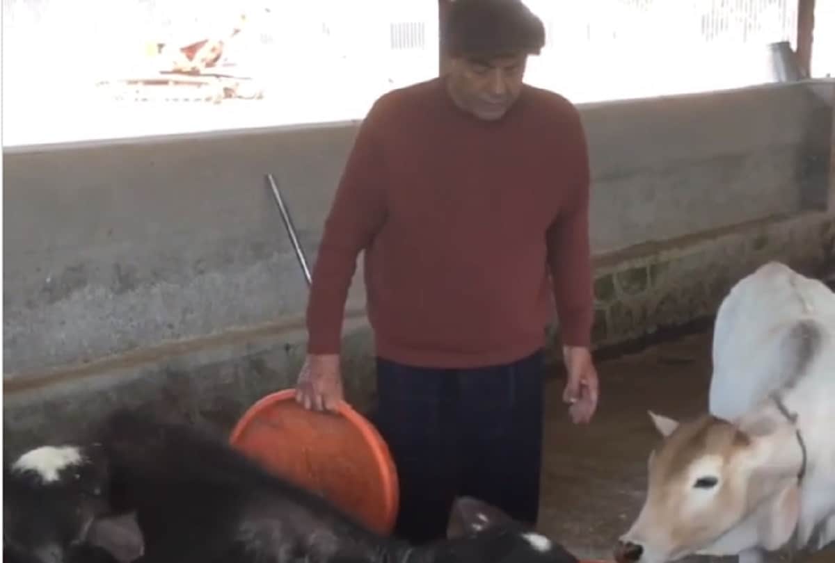 Dharmendra dispatch vegetables to daughter Isha Deol photo viral