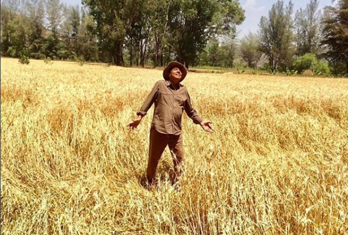 dharmendra both son wants to build A hotel on his farmhouse