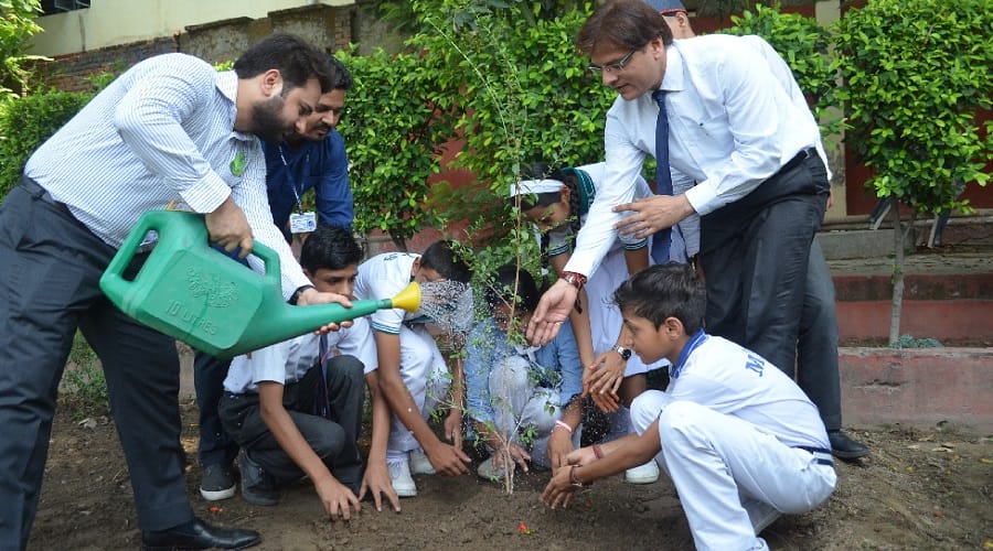 World Environment Day: The big contribution of the plant to human life, know the special things