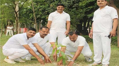 World Environment Day: The big contribution of the plant to human life, know the special things
