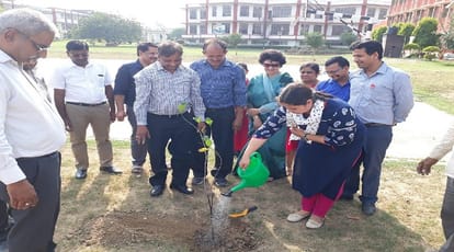 World Environment Day: The big contribution of the plant to human life, know the special things