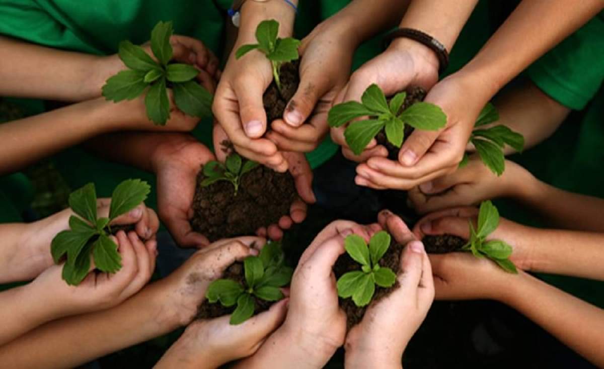 world environment day 2019 some Things from our Homes that Harm the Environment