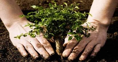 World Environment Day 2019 How will Save Environment 