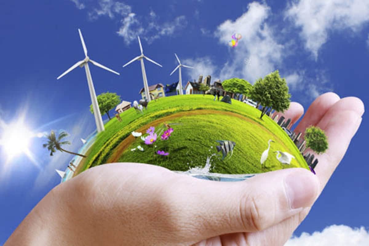 World Environment Day 2022: Why Do We Celebrate World Environment Day Know When and How Started History And Theme