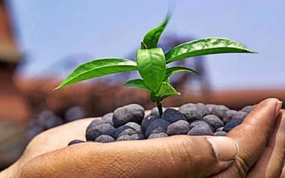 world environment day