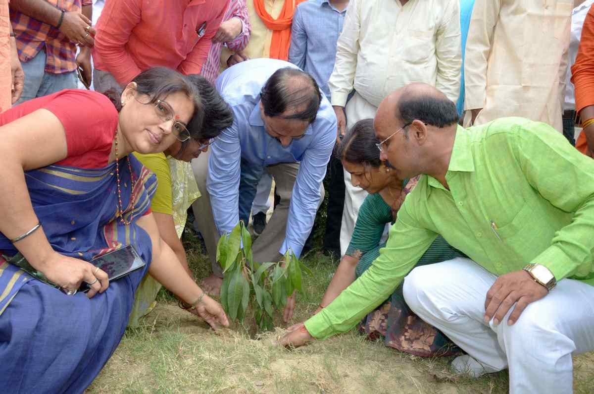 World environment day celebrate today in purvanchal