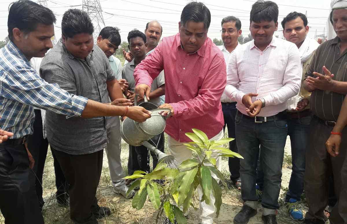 World environment day celebrate today in purvanchal