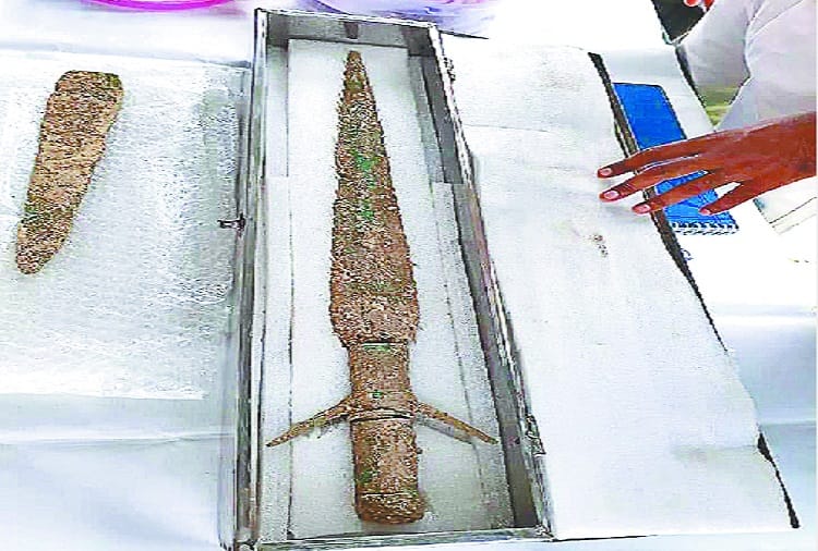 Wonderful excavation found chariot, debated among historians, see photos