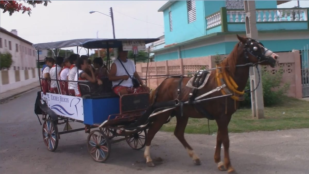 know about the different types of transport in the world
