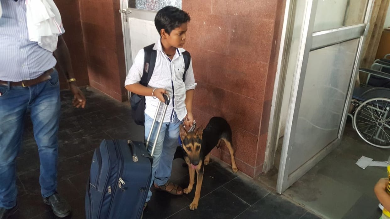 Railway imposed penalty on dog traveling in train