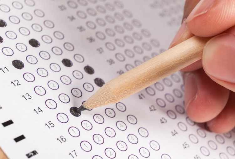 TET students did not get relief from high court