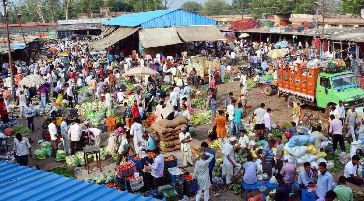 Unhealthy vegetable crops if not available at reasonable prices