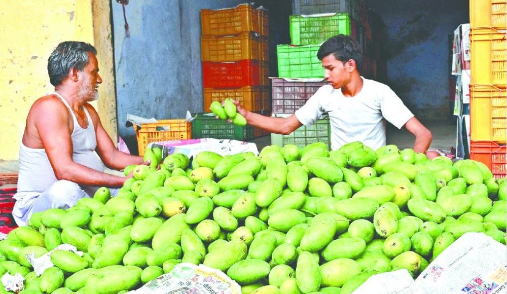 rate of onion increased by farmers agitation 