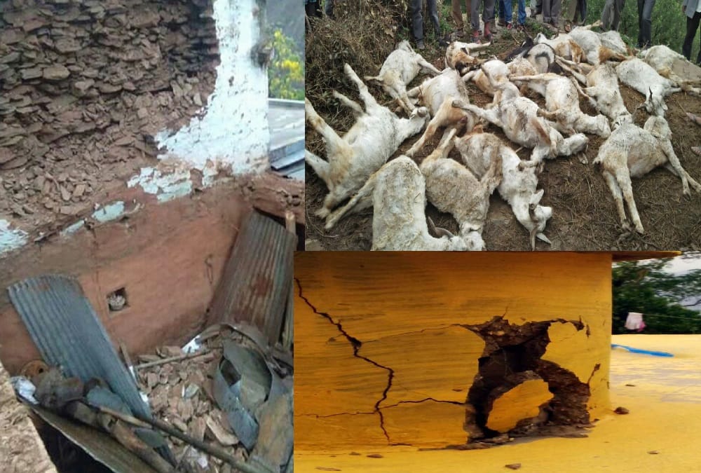 Disaster in uttarakhand after lightning and cattle death 