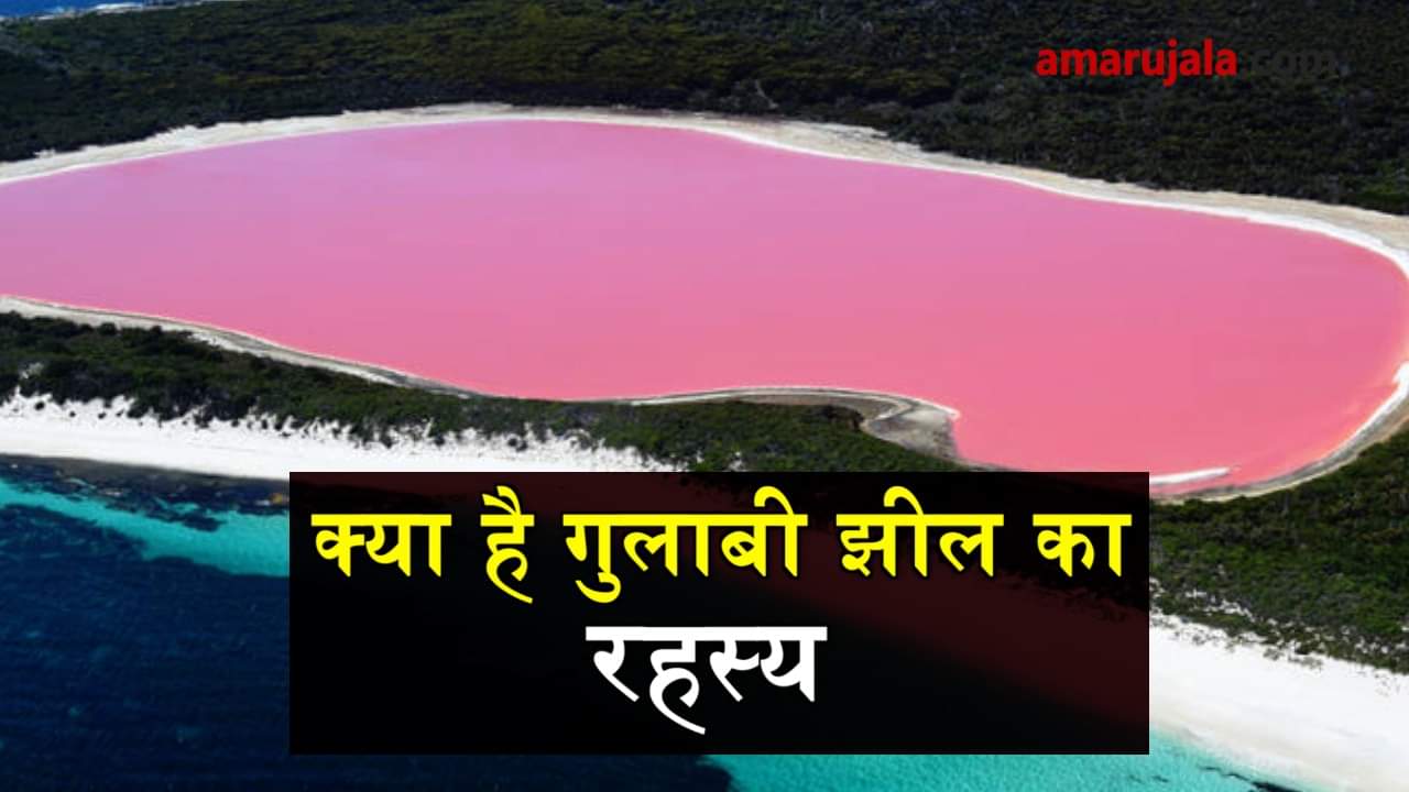  reason for pink lake