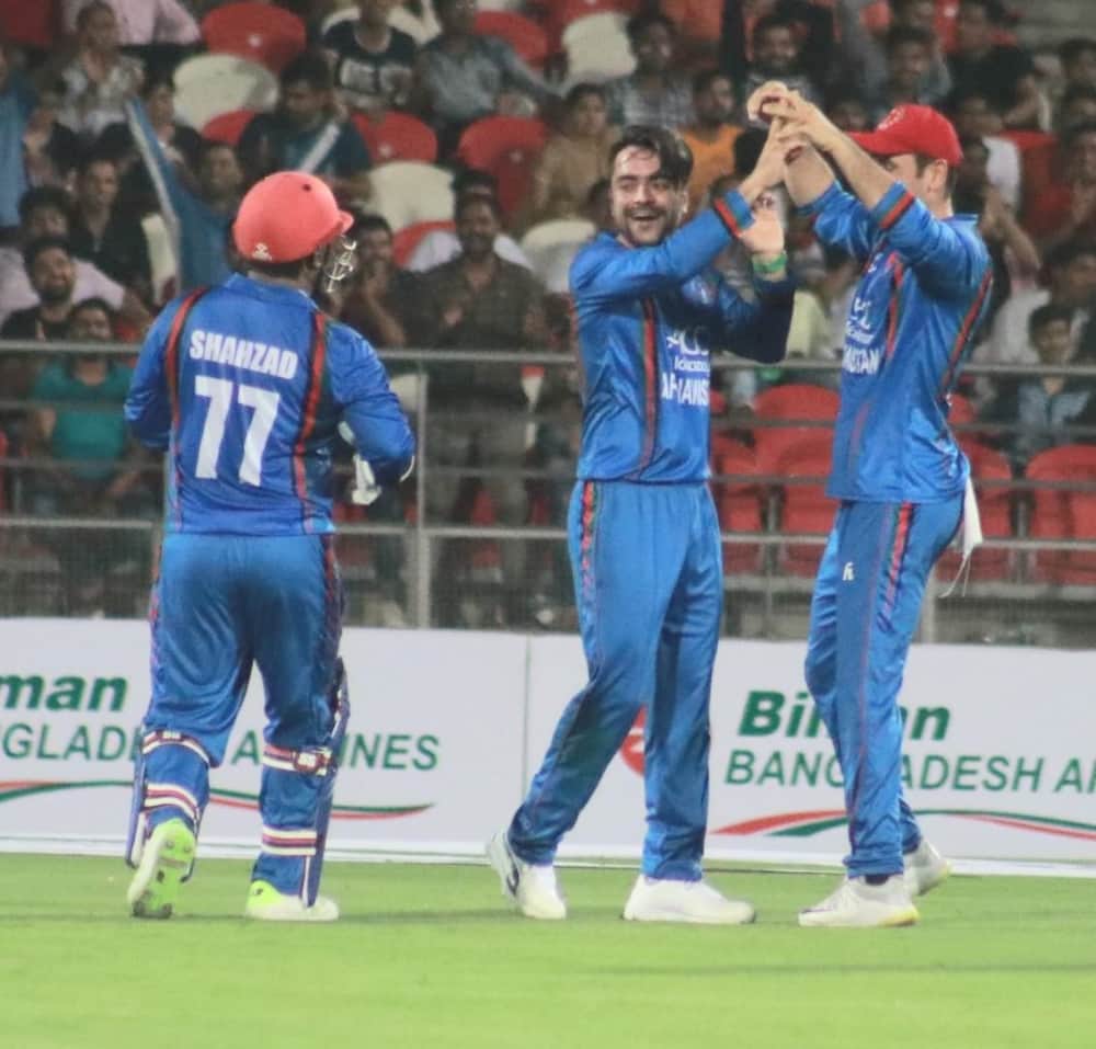 rashid khan and sarah taylor chat is winning heart on internet