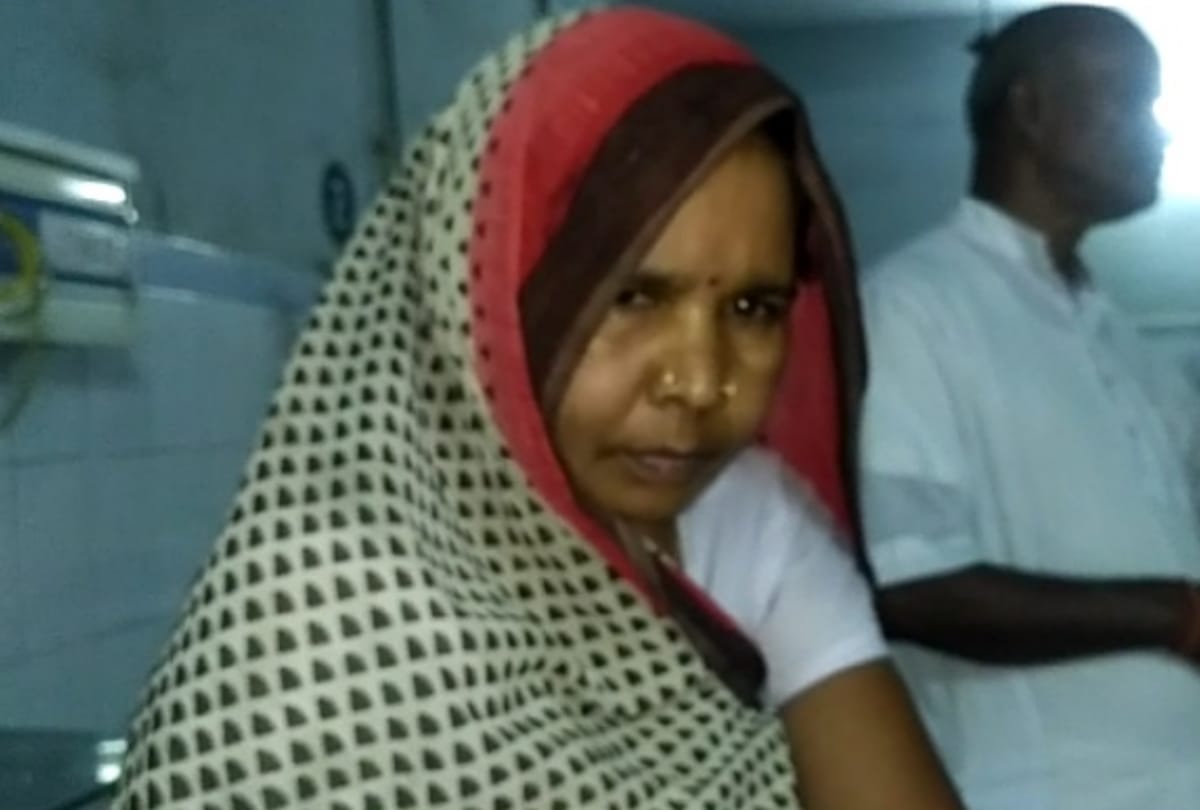 Snake bites the woman in bahraich