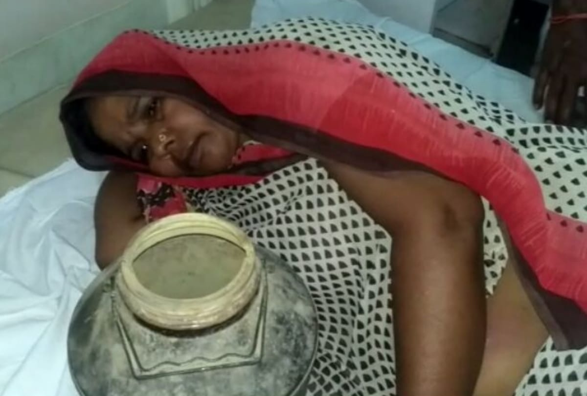 Snake bites the woman in bahraich