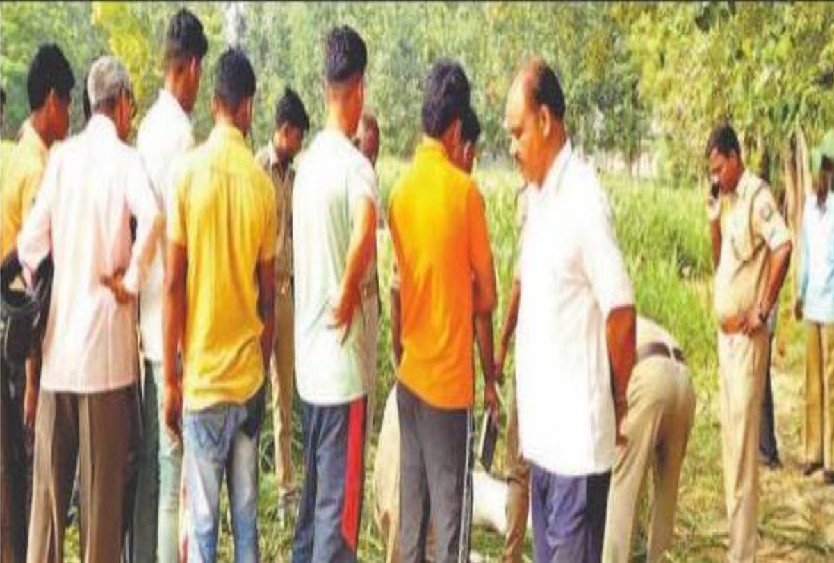 five year old girl skull found in field at sambhal