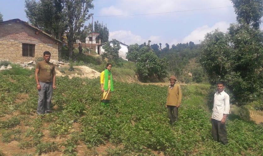 Revenue Department carried out terrestrial inspection of the area