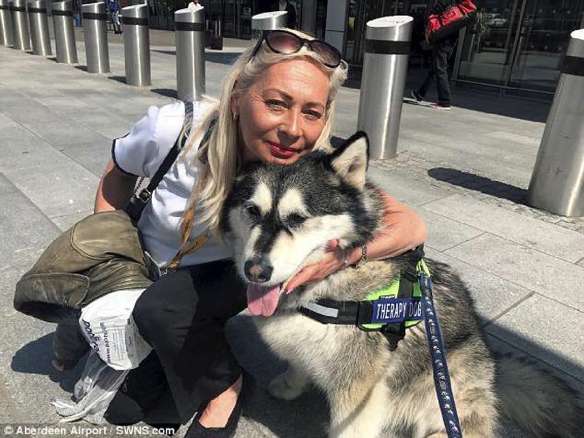 Unique initiative by Aberdeen Airport: dog is helping passengers to remove stress 