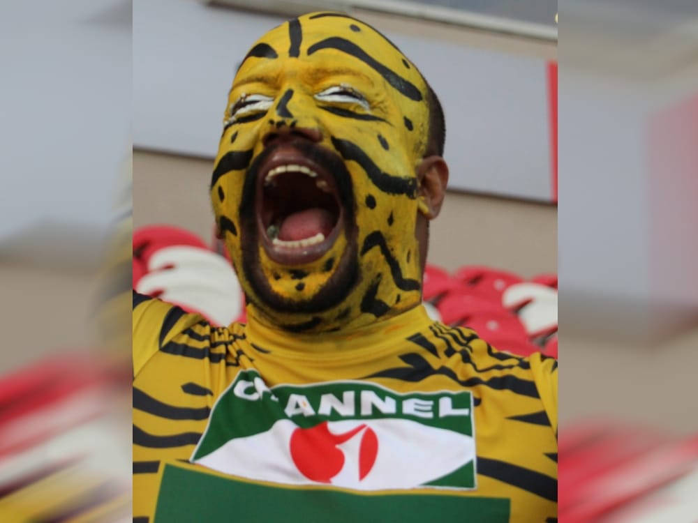 Afghanistan vs Bangladesh t20 series, tiger fan or bangladesh