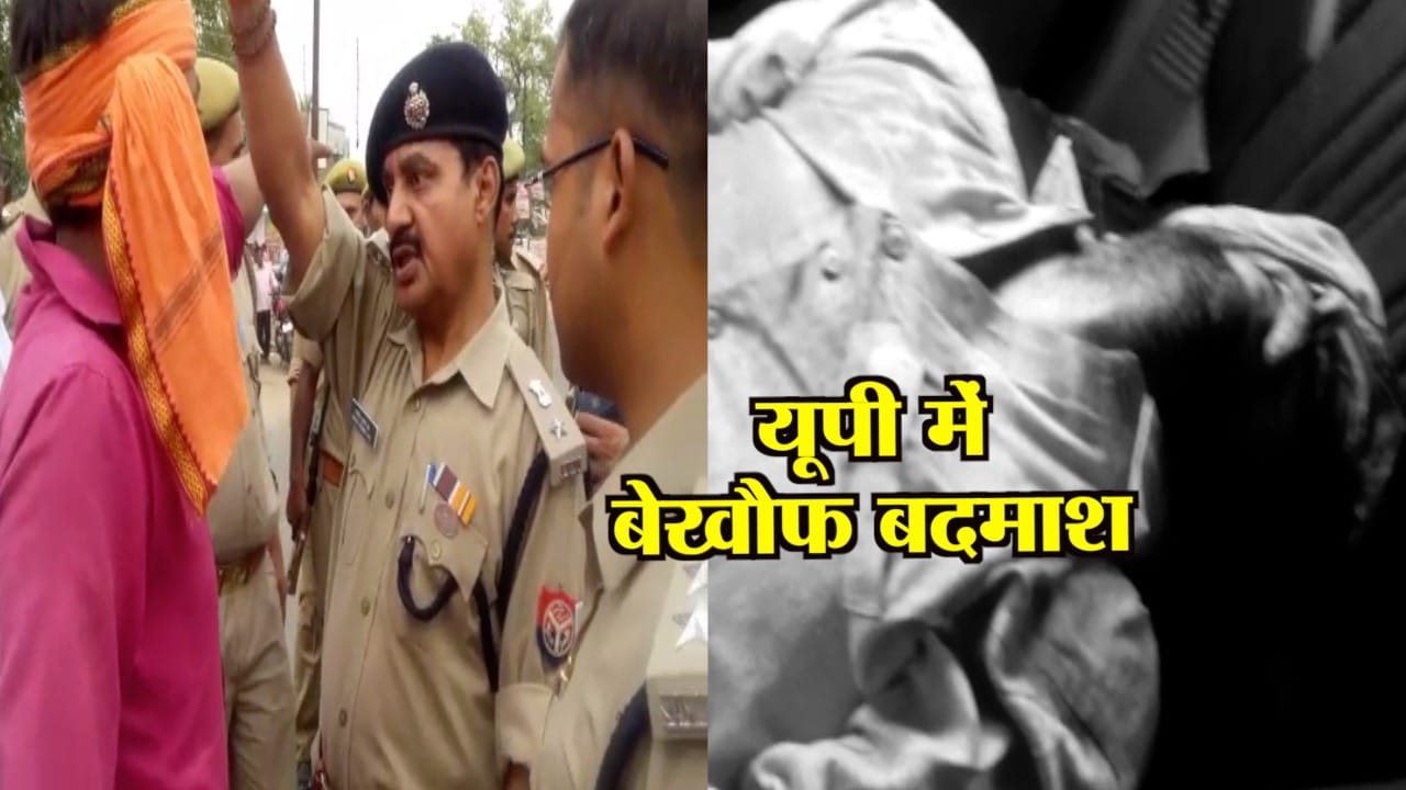 UP NEWS