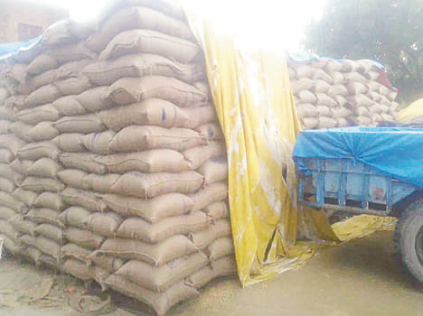 2,000 quintals of wheat dewy in farrukhabad