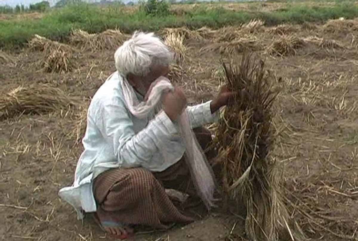 farmers of Unnao district is depressed                                                  
