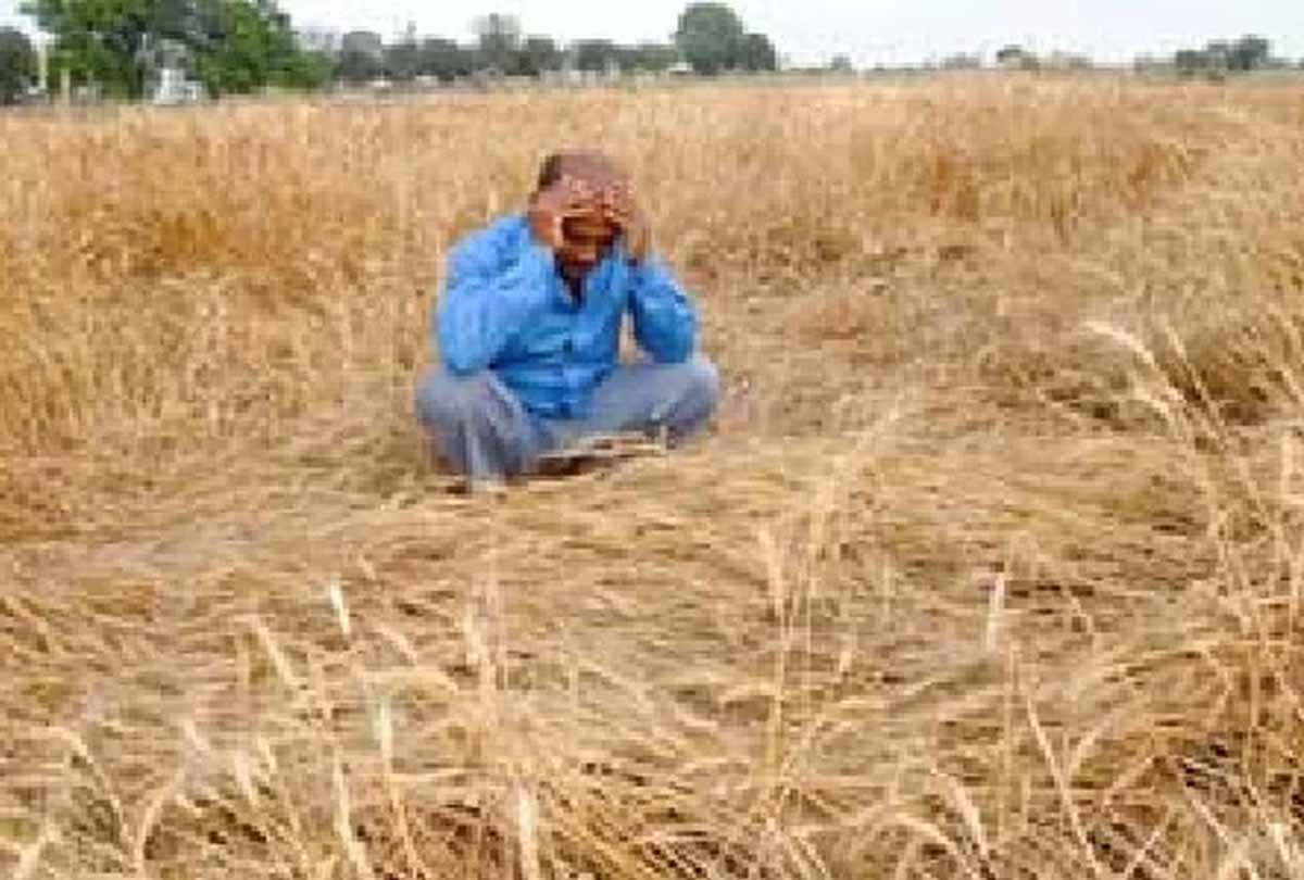 farmers of Unnao district is depressed                                                  